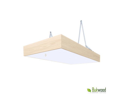 Лестница на чердак ECO Metal Standard 120х60 см имеет прекрасный внешний вид и отлично подойдет под любой стиль интерьера. Другими преимуществами данной модели являются: качественная фурнитура, усиленный металлический за