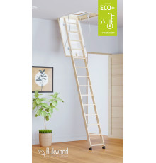 Чердачная лестница ECO+ Long 110х90