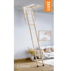 Чердачная лестница Luxe Long 110х90