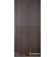 Дверь ABWEHR -  309 Miriel  - входные двери