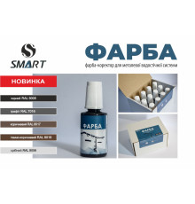 Краска-корректор SMART